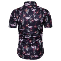 uploads/erp/collection/images/Men Clothing/XIANGNIAN/XU0456749/img_b/img_b_XU0456749_3_zsspGHc3cgJzraceXvSp4OhrGe47HbuS
